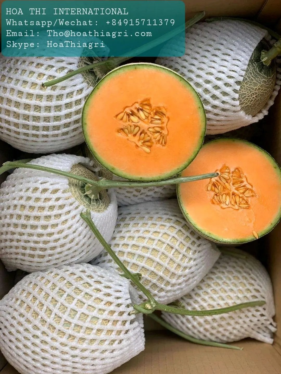 Органическое культивирование, 100% натуральная свежая Мускусная Дыня премиум-класса, размер 1,0-2,0 кг, высокое качество, Лучшая цена