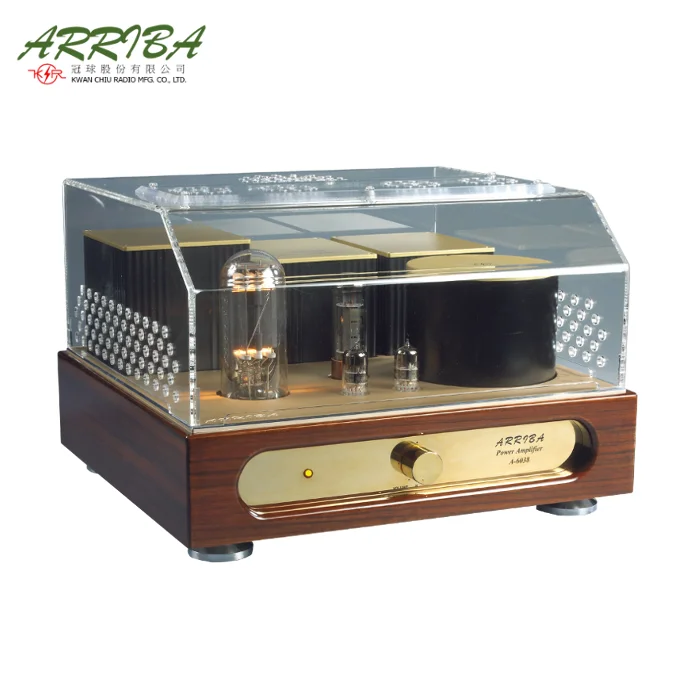 ARRIBA Hi Ended Single Ended Vacuum Tube Amplifier