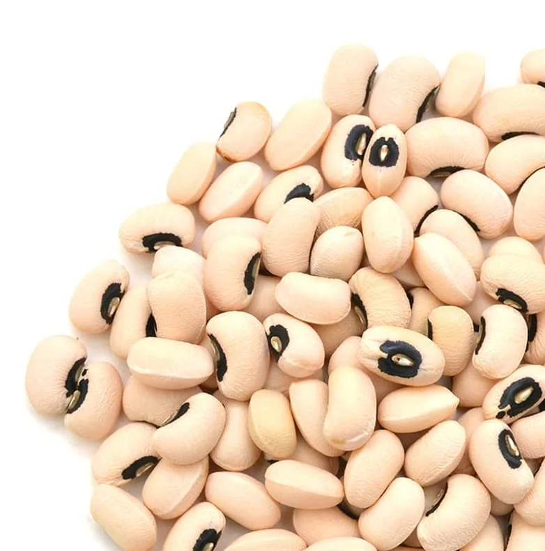 Top Quality Black Eyed Cowpea