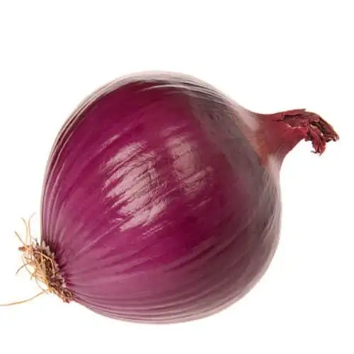 Fresh excellent grade vegetable best price red onion Low Price