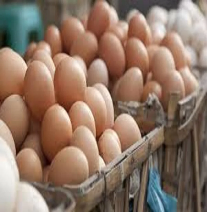 Farm Fresh Chicken Table Eggs Brown and White