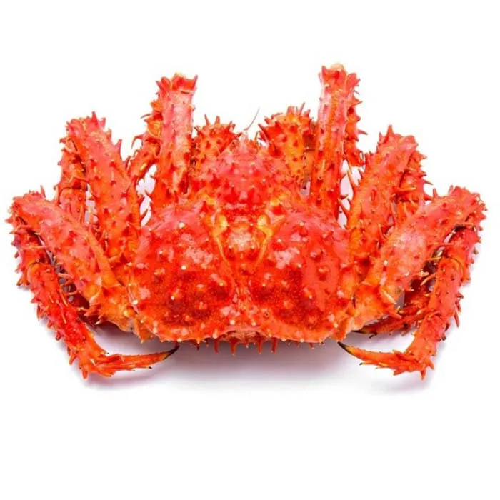  Alive Red King Crab for Sale