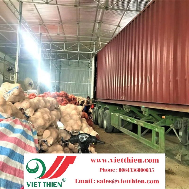 Dried coconut provides large quantities with clear origin at reasonable prices to ensure prestige and quality for consumers