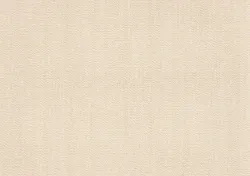 Горячая Распродажа, набор из 5 предметов для маленьких девочек Caty, Весенняя мягкая хлопковая детская одежда от бренда Necix