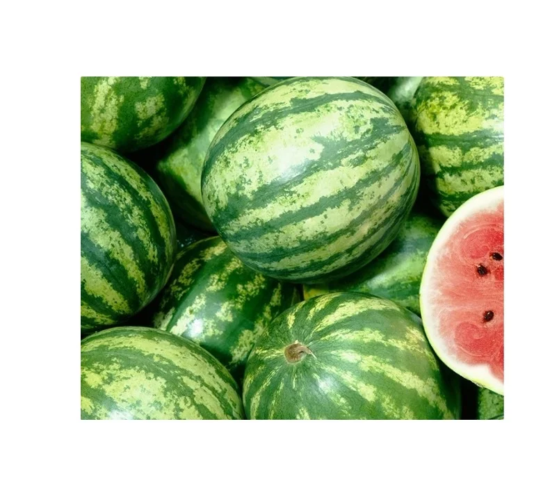 Fresh WaterMelon