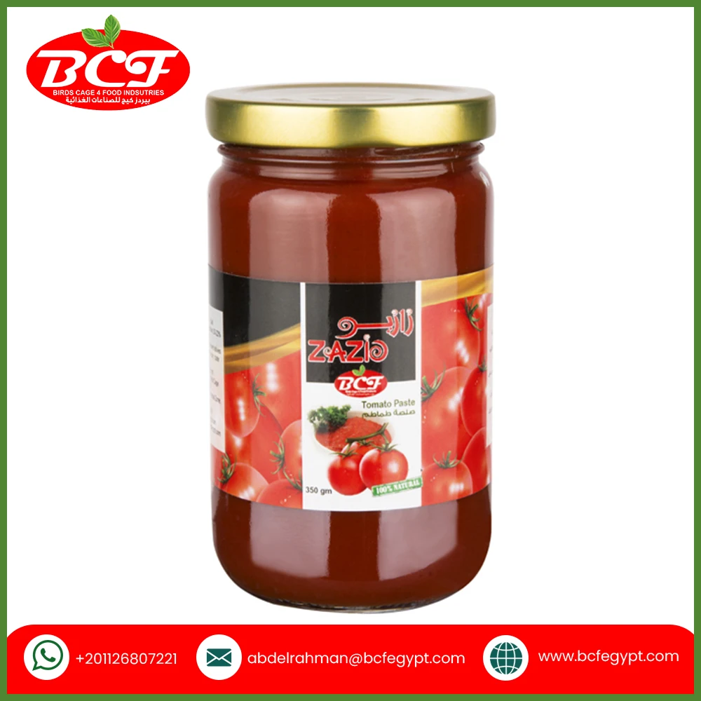 Factory Wholesale Price Food Beverage Zazio Tomato Paste 350g Bulk Tomato Paste Supplier