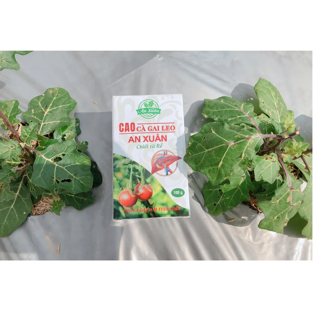 Хорошо для здоровья, топ продаж, Solanum Procumbens, конденсационный экстракт Xuan из корней, сделанных во Вьетнаме