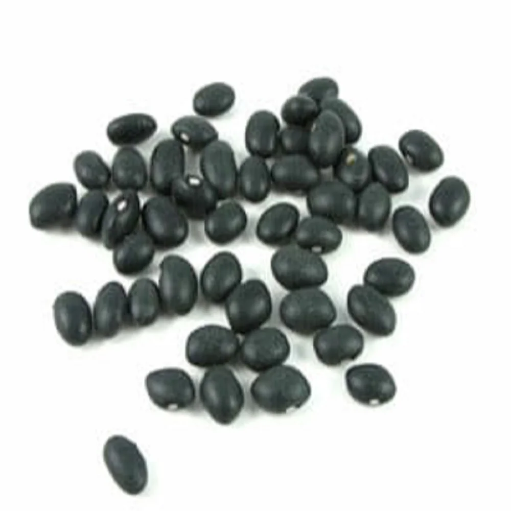 black kidney Bean  and White Beans in thailand