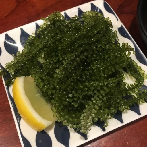  Свежие морские водоросли с пузырьками горячая Распродажа лато-водоросли маринованным покрытием в соленой воде (мс Деми + 84 961733400)