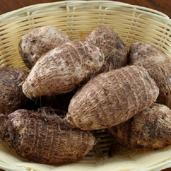  Высокое качество свежий Таро во Вьетнаме