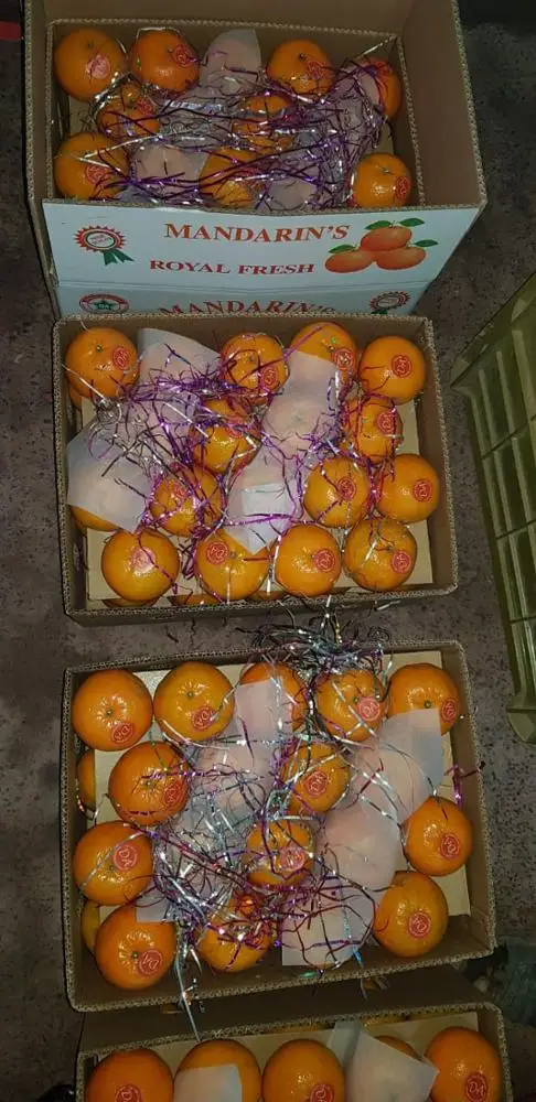 Fresh Organic Orange - A Grade Mandarin