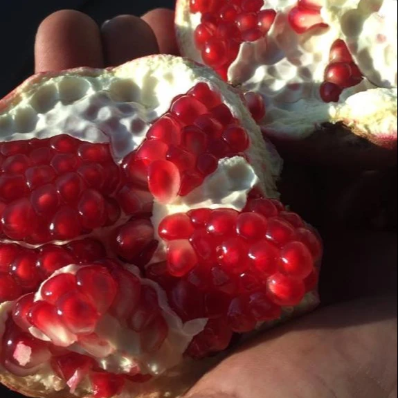 Pomegranates/ Fresh Pomegranates