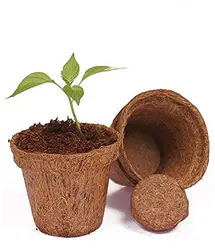 ORGANIC Coco Pots 100% NATURAL  Coco Coir Pots/Coconut Coir Fiber Pots