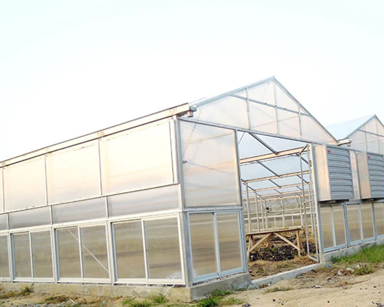 Skyplant Venlo Multi-span Greenhouse With Hydroponic Systems