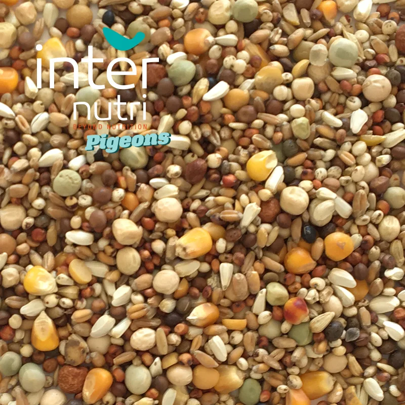 
Seed mixture for pigeons | INTERNUTRI PIGEONS BREEDING 20KG 