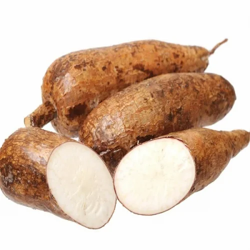 
Fresh Cassava in bulk 