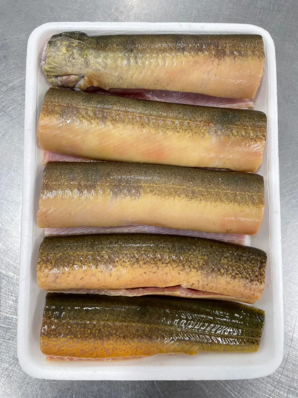 Eel fish fillet Factory Supply Wholesale Eel Frozen cleaned eel meat made in Vietnam Frezze frozen sea