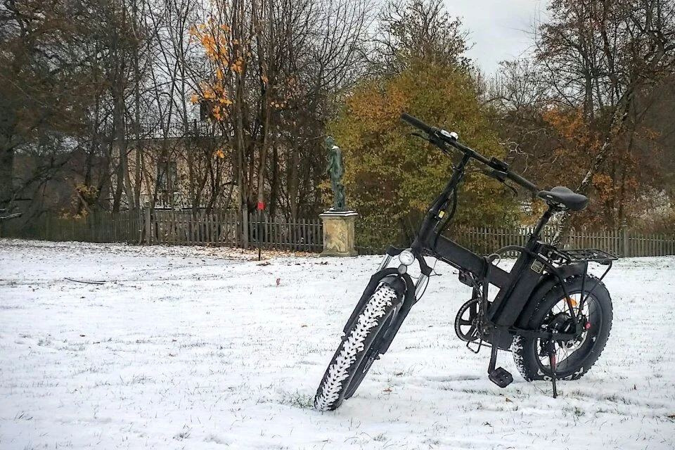 2021 China Bisek Electric Bicycle Two Wheel 20Inch Electric Bike 500W 48V Smart Ebike with 15AH Lithium Battery Folding Bike