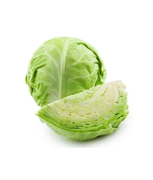 High Quality New Crop Fresh Denmark Cabbage