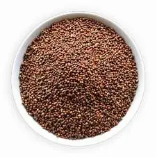 Top grade wholesale red sorghum grains sorghum good price