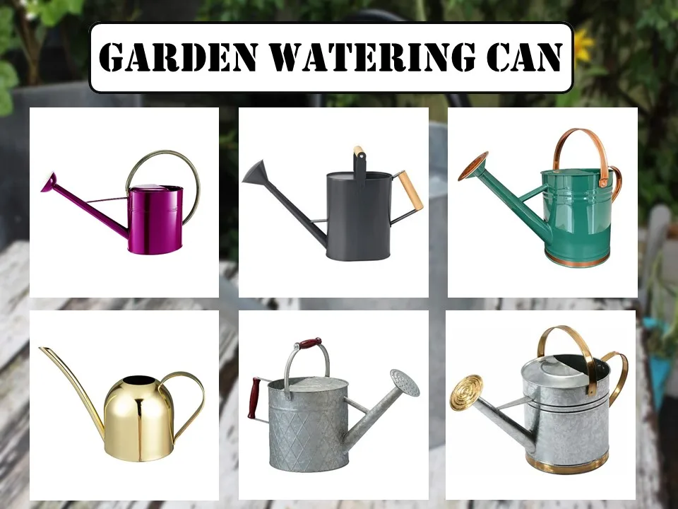 WEDDING WORLD water cane.jpg