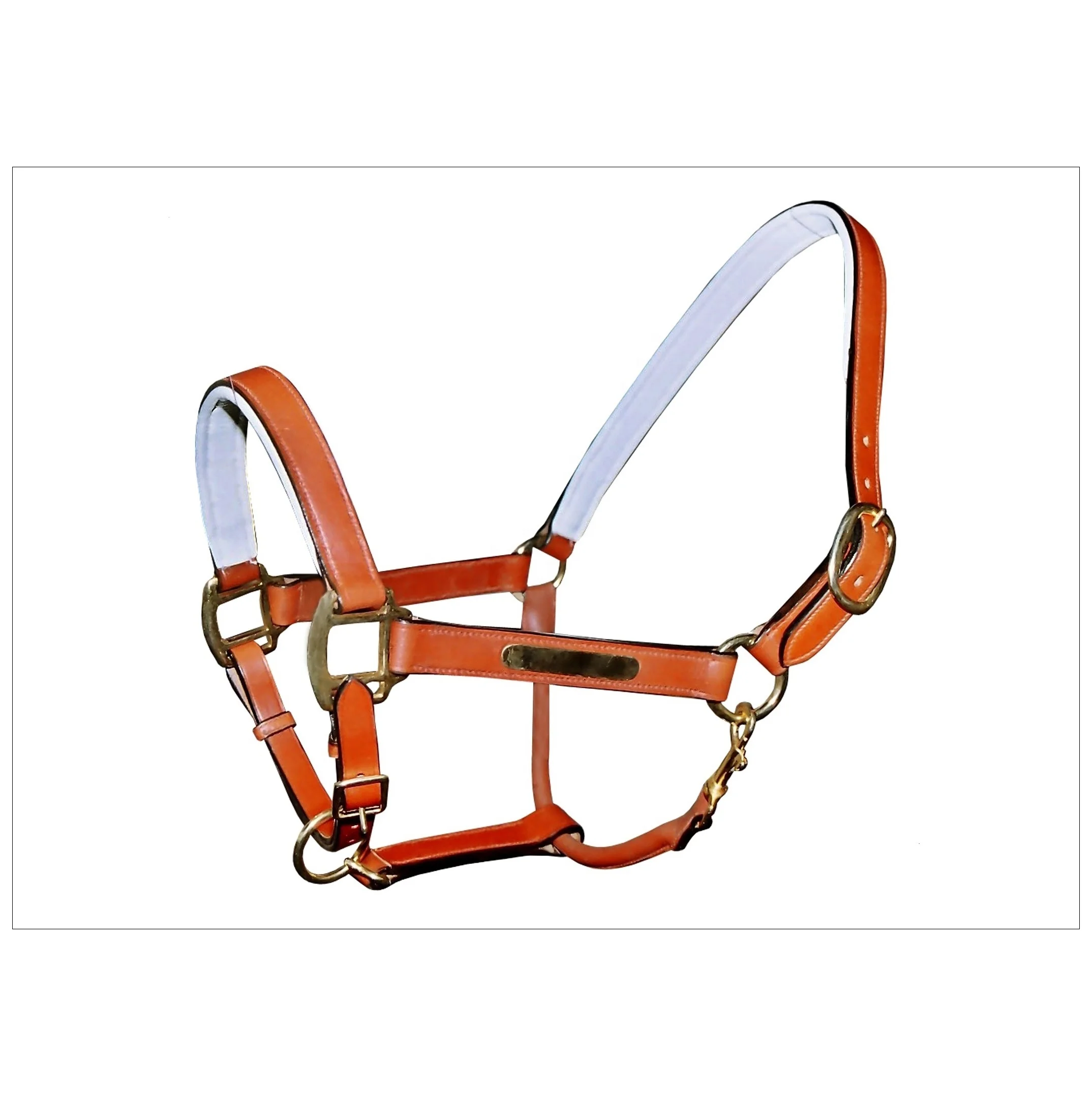 Premium DD Leather Horse Riding Halter Manufacturers