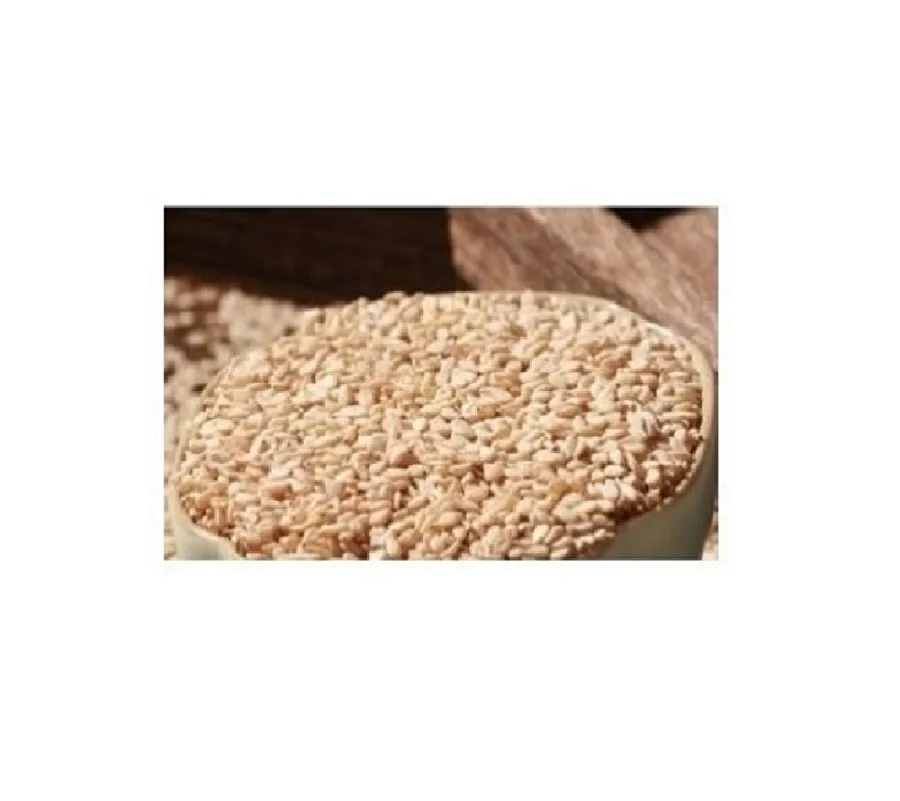 High Quality Fresh Sesame organic High Quality seeds  Ready to Ship