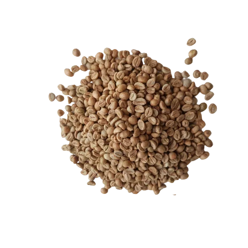 Производитель жареных кофейных зерен Arabica, зеленые кофейные зерна Robusta Зеленые зерна