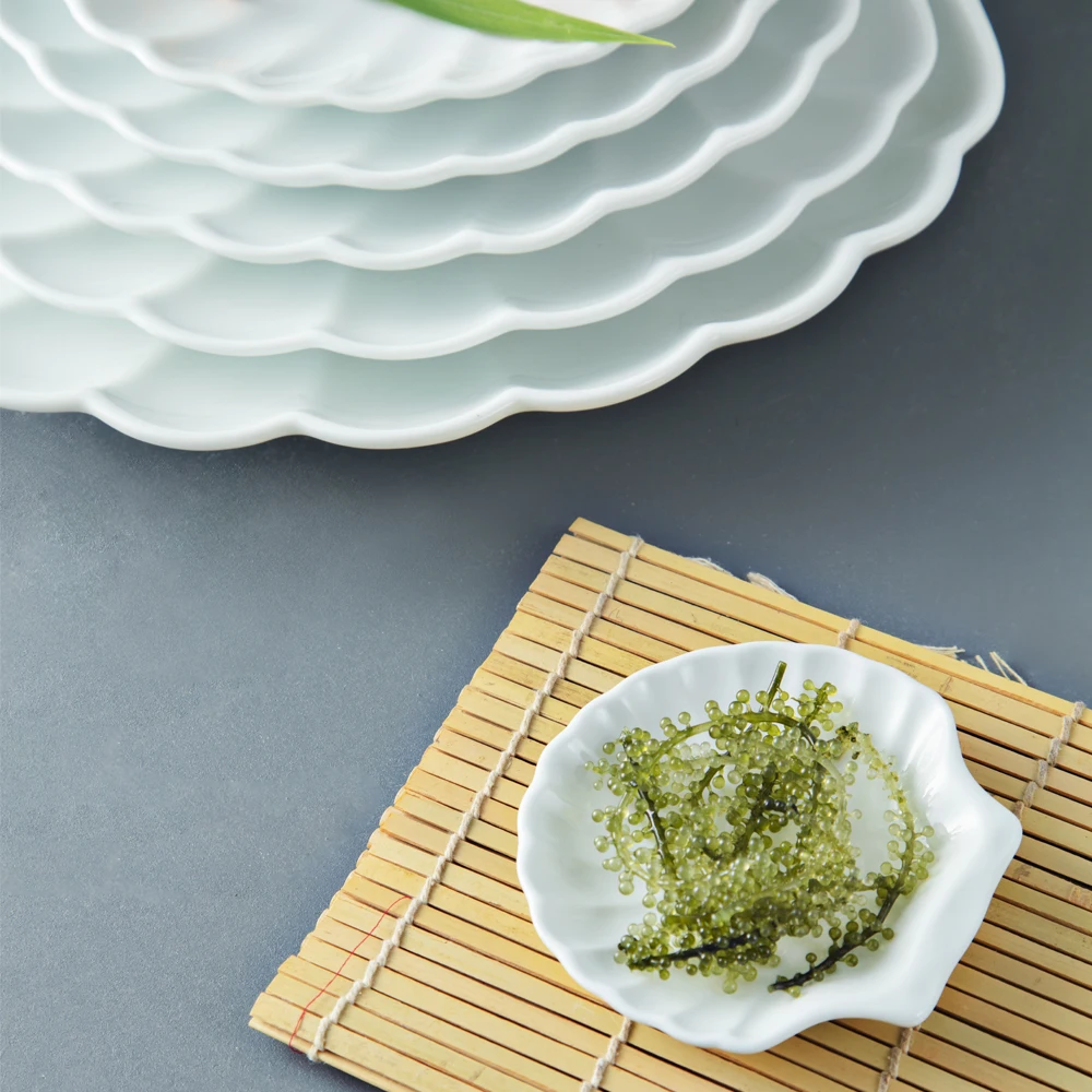 OEM Hot Product White Porcelain 6.5-inch Scallop-shaped plates sets dinnerware made in Viet Nam wholesale manufacturer