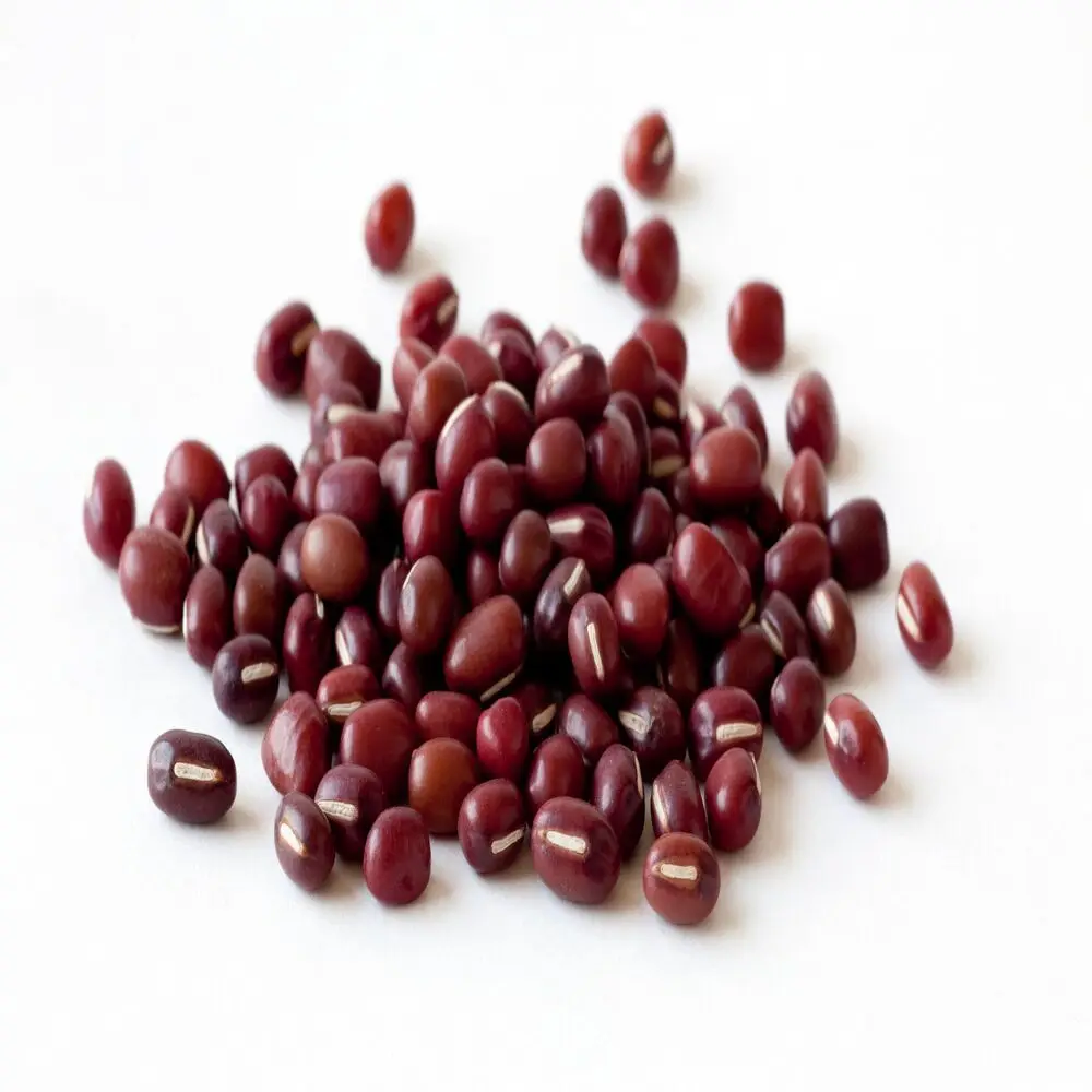 Best Price Red Beans / Adzuki Beans for Sale