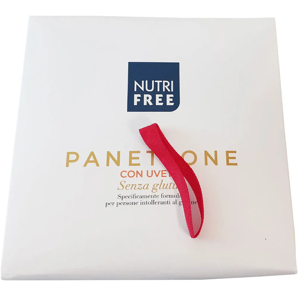  Gluten Free PANETTONE WITH RAISINS