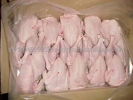 FREE SHIPPING. Halal Frozen Whole Chicken -Grade A