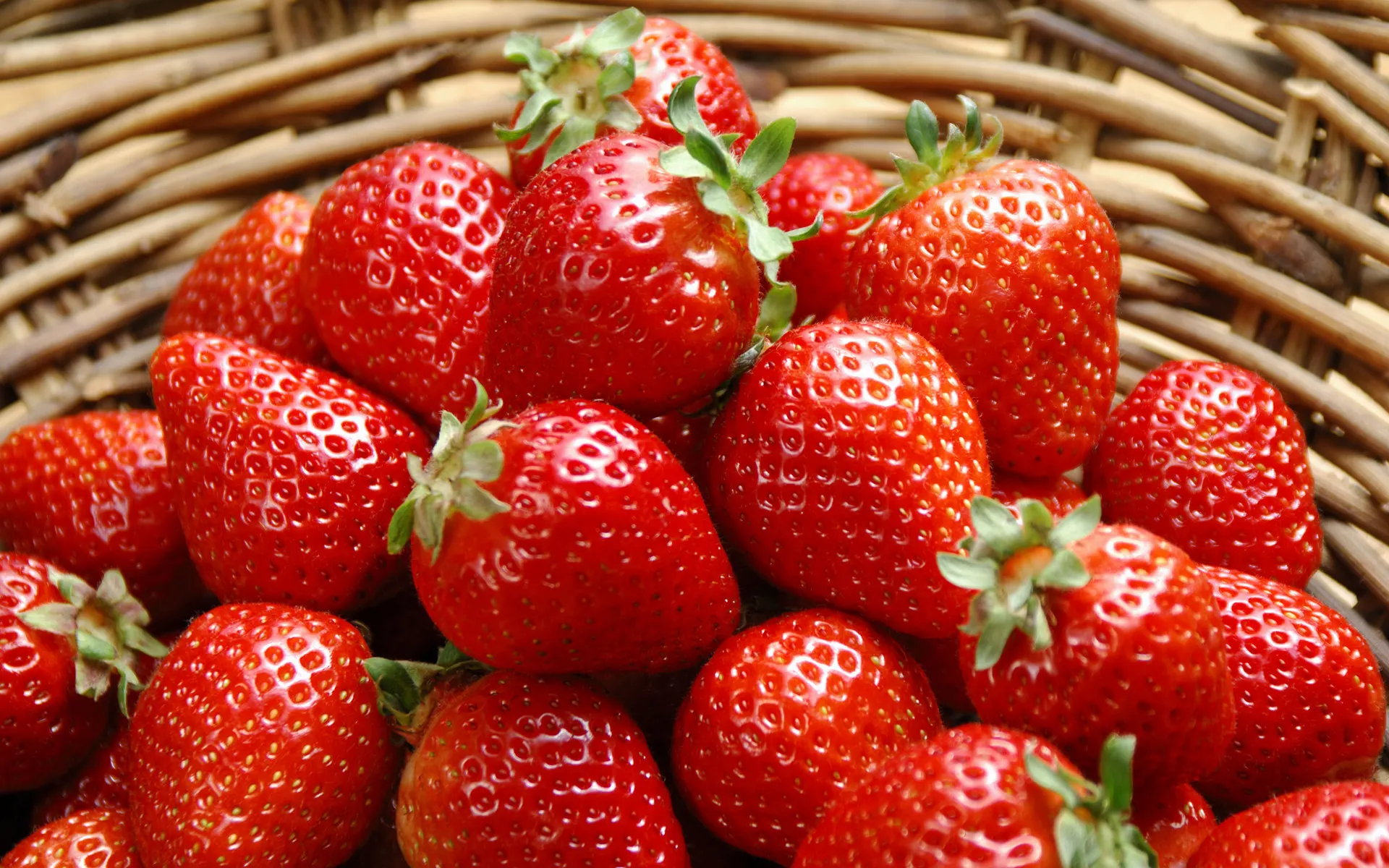 Fresh Strawberry wholesale Fresh Berries