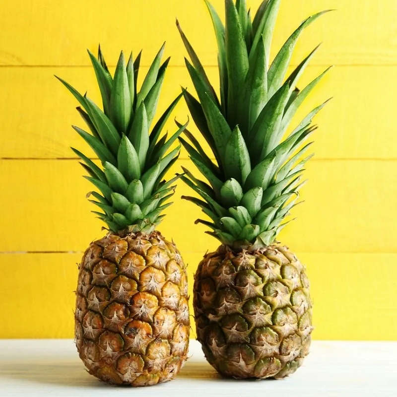 
High quality Wholesale Fresh Pineapples from Vietnam at Competitive Price 