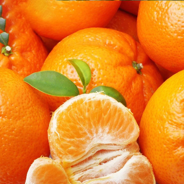 fresh baby fresh mandarin orange citrus fruit