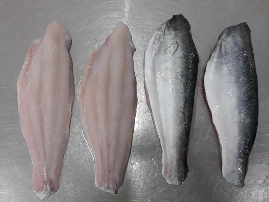 Manufacture Direct Sale Frozen fillet, Frozen Pangasius/ swai/basa Fillets from top factory supply