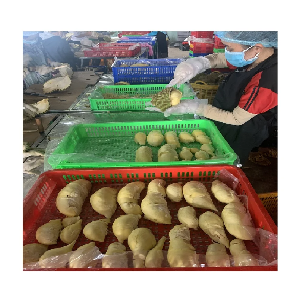 Bulk Packing High Quality 12 Months Shelf Life Yellow Color Frozen Processing Sweet Taste Durian Meat From Vietnam