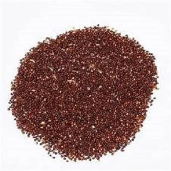 Top grade wholesale red sorghum grains sorghum good price