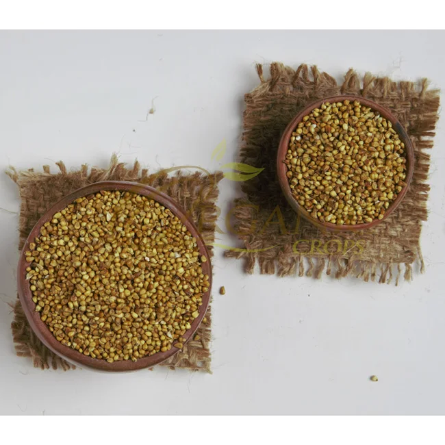 
Optimum Quality Sudan Millet Seed for Human & Animal Consumption Kui 