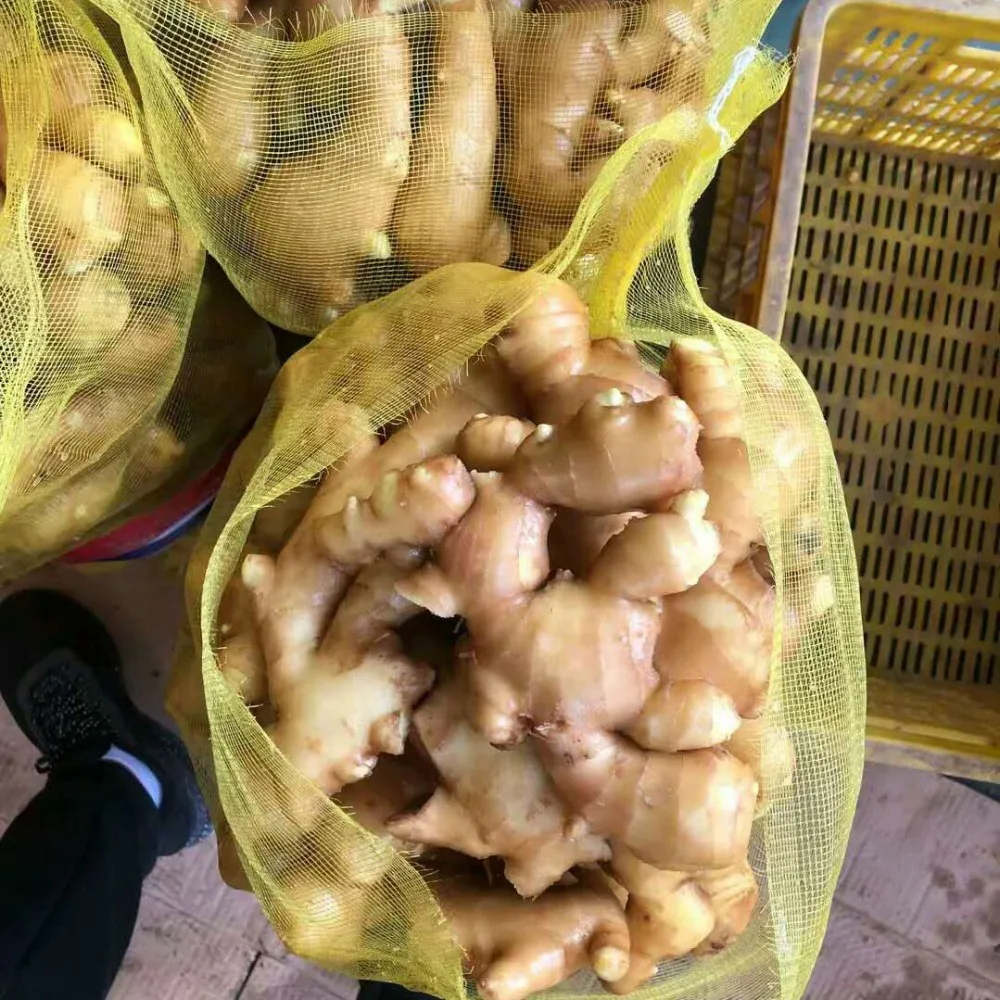 
Ginger Supply from india 