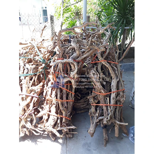 Hot sales 2024 Natural Trunk Driftwood Tree for Aquarium Fish Tank Decoration Ornament Landscape WhatsApp: +84 961005832