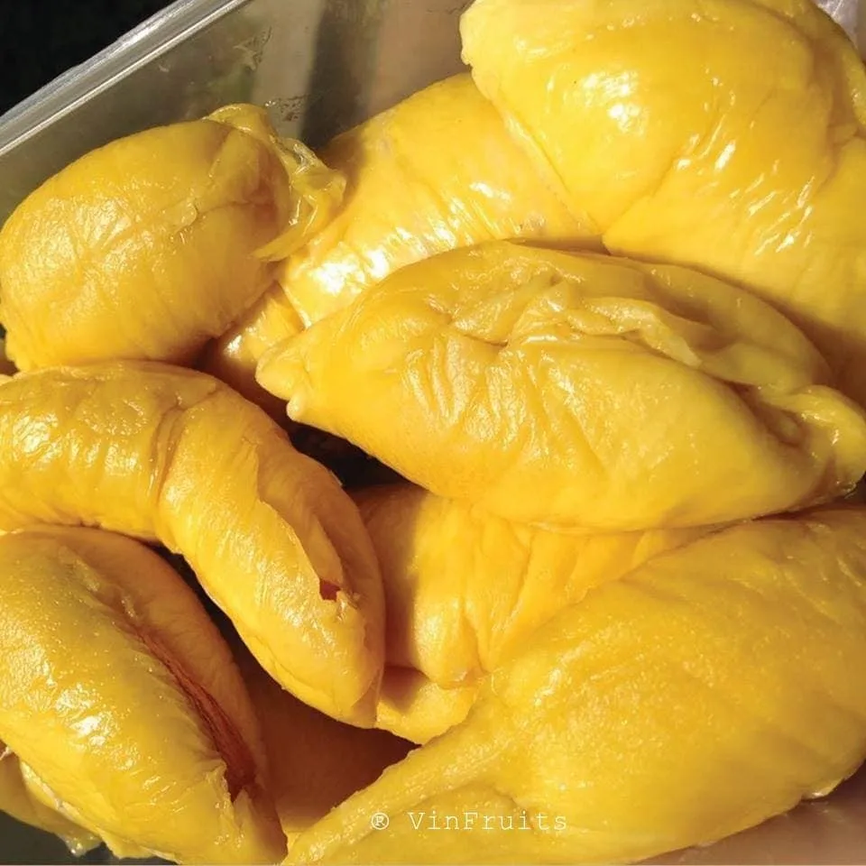 Оптовая цена Высокое качество MONTHONG/ RI6 DURIAN Новый Урожай из Вьетнама/мисс Триш + 84 984 696 874