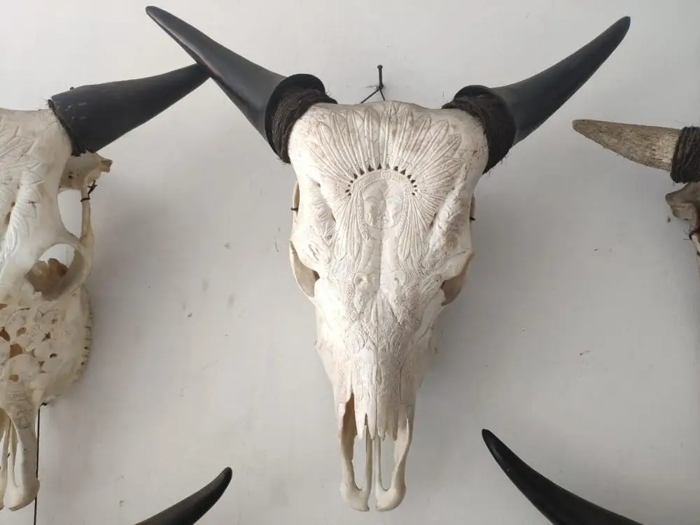 real animal skull cow head hand carved 100% in stock mixed design