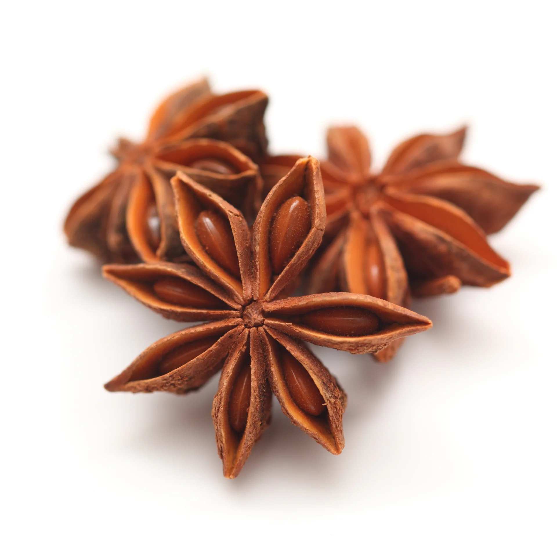 Star Anise - Premium Quality