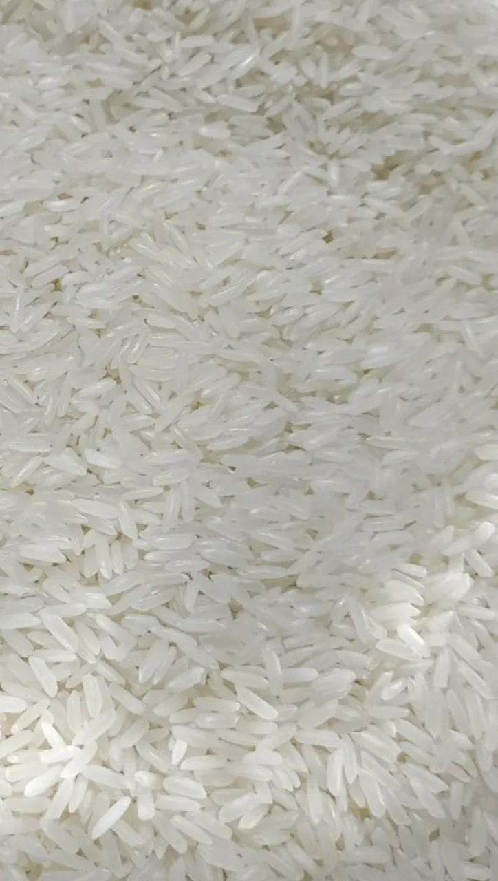 Made In Viet Nam Dried Style High Quality Top Sale Product In 2021 Special Long Grain White Rice