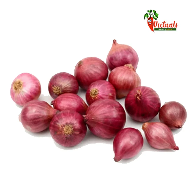Small Shallot Onion - Exclusive Sale For special Season