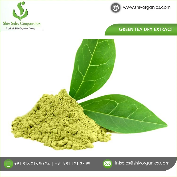 Премиум QualityGreen чай сухой экстракт по рыночным ценам гарантированное качество чистый зеленый