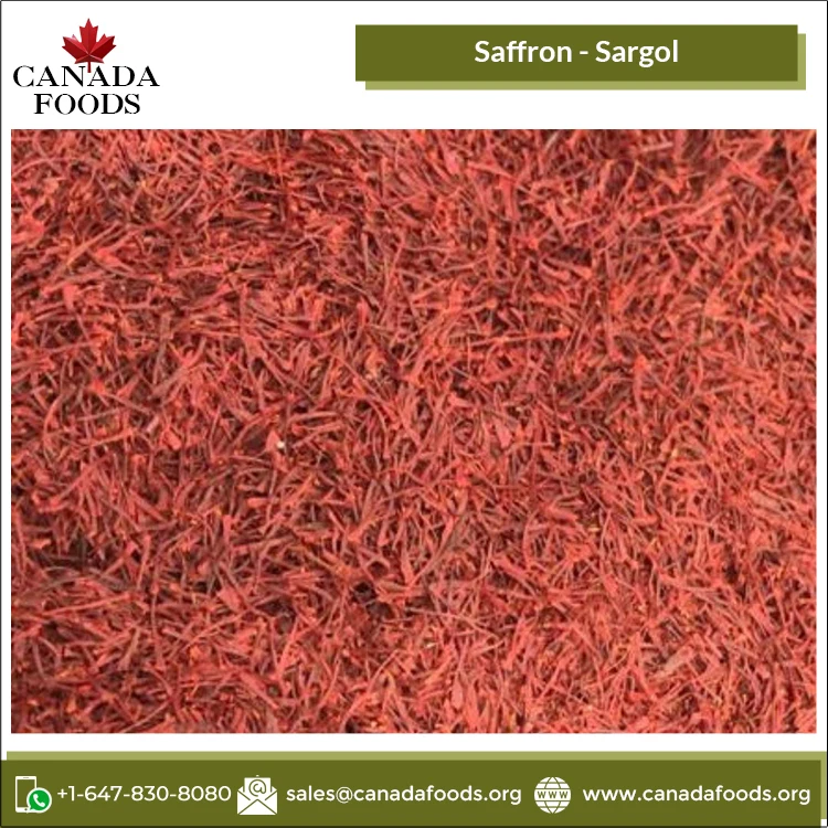 Professional Dealer of World Wide Selling Sargol Saffron at Best Price