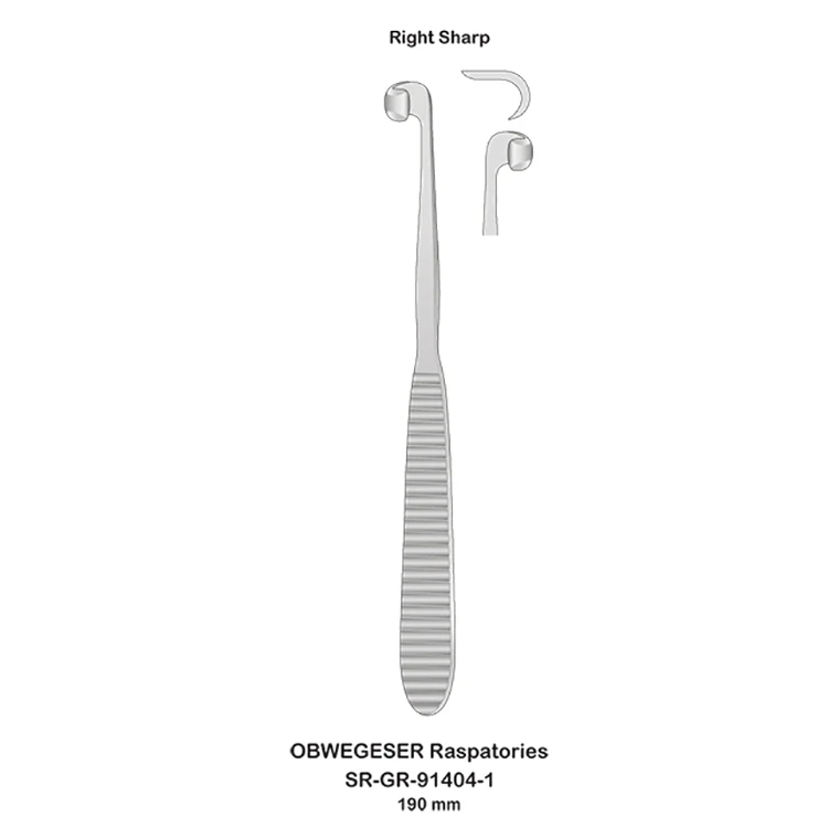 High Quality OEM ODM Customized Surgical Instruments Elevator Elevator Stainless Steel OBWEGESER Raspatories
