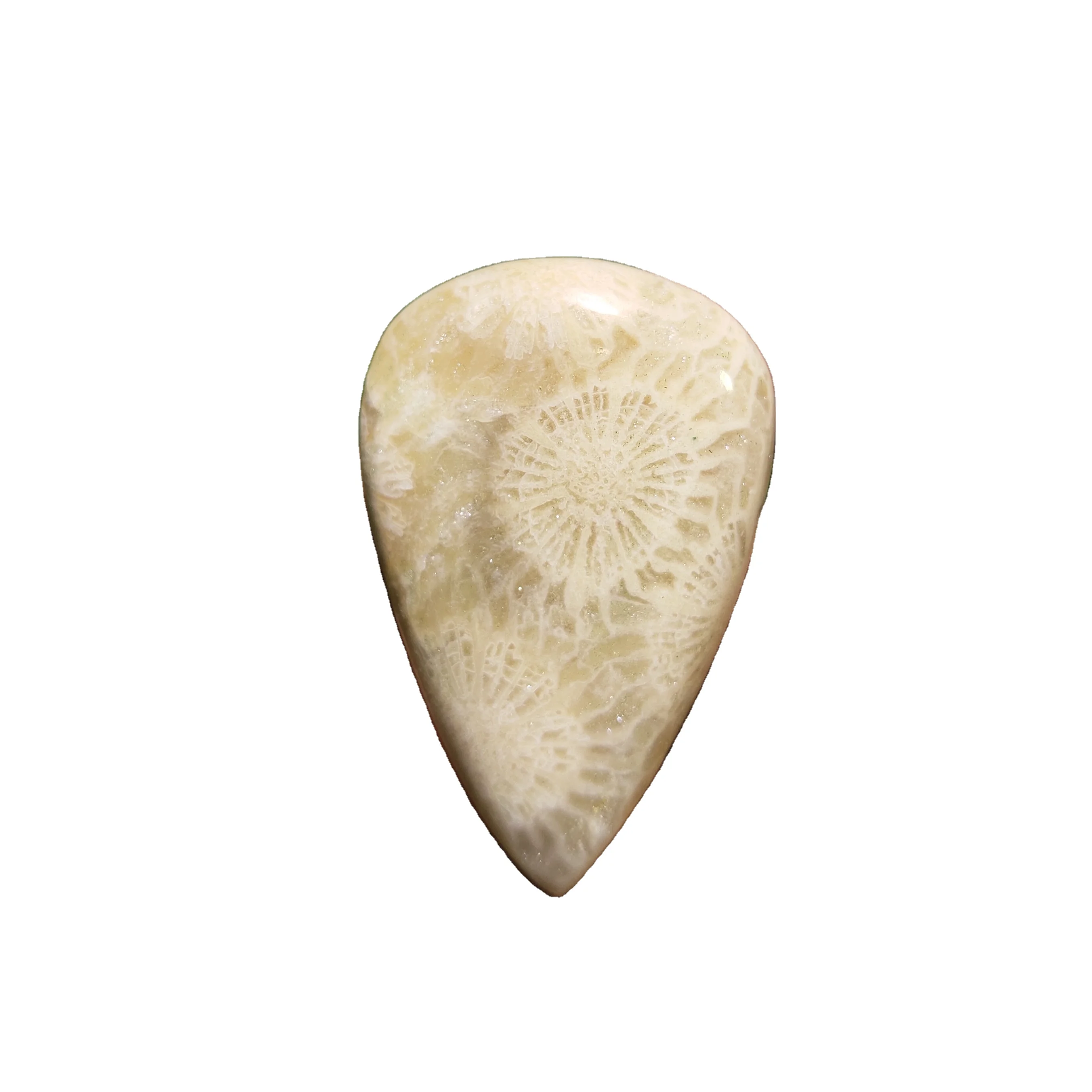 Top! Natural Fossil Coral Cabochon Amazing Quality Fossil Coral Loose Gemstone For Jewelry Making Semi Precious Stone